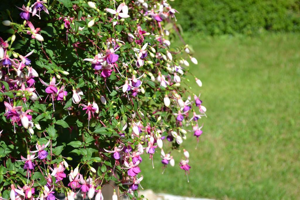 Bed and Breakfast Le Moulin De Lusseau Chef-Boutonne Exterior foto